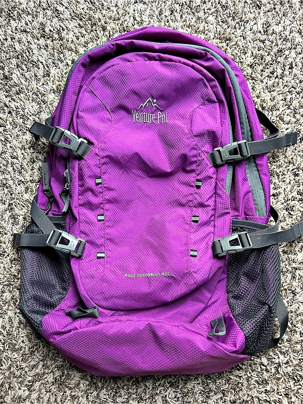 Venture Pal Backpack in Purple & Gray